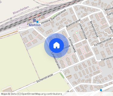 Traumhafte 5,5 Zimmer-Wohnung in Möhlin - Photo 1