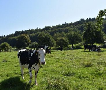 Idyllisch günstig das Landleben geniessen - Foto 6