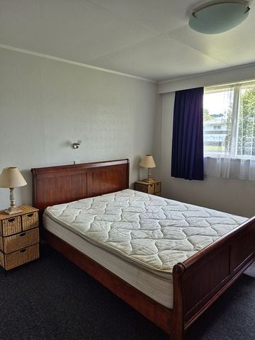 Charming Two Bedroom Home In Taumarunui - Photo 3