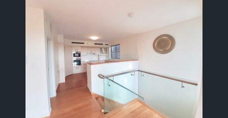 Stunning Two Storey 4 bed Executive Townhouse with Middle Harbour Views! - Photo 5