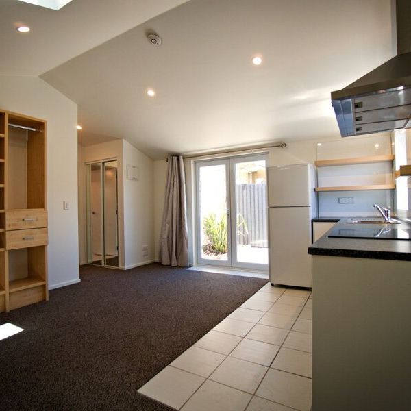 Spacious 1 Bedroom Home in Spreydon - Photo 1