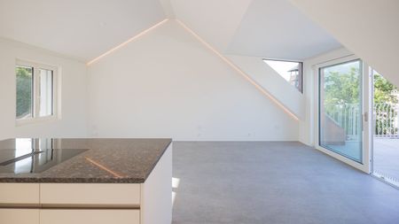 Exklusive Attikawohnung mit Panoramasicht in Luzern - Foto 4