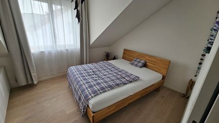 3-ROOM APARTMENT IN SCHNEISINGEN (AG), FURNISHED, TEMPORARY - Photo 4