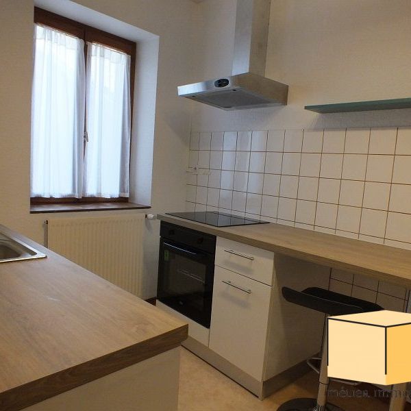 Location Appartement 2 pièces 38m² BELLEY 01300 - Photo 1