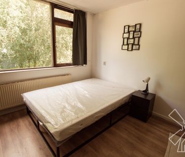 Elviraland (3025) - Foto 3