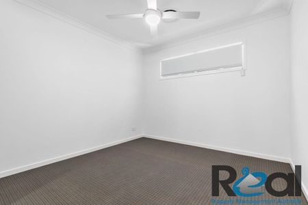 Palmview - Photo 2