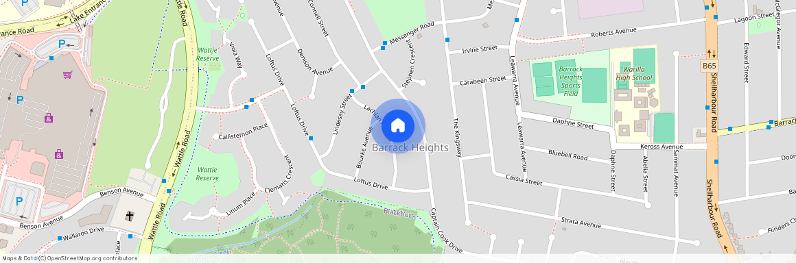 19 Lachlan Avenue, NSW 2528, Barrack Heights