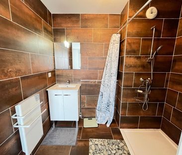 Location Appartement 2 pièces 39m² ALBI 81000 - Photo 6