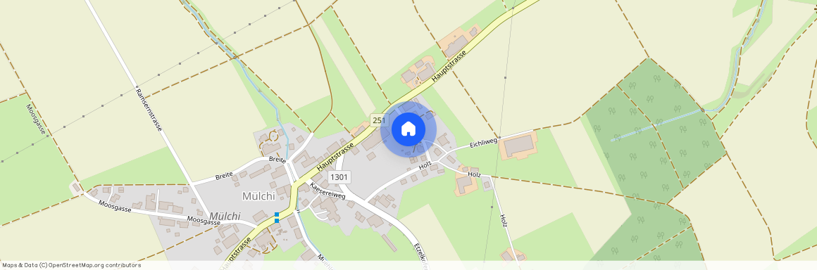 3317, Mülchi, Holz, 21