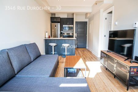 3546 Rue Durocher - 3D - Photo 4