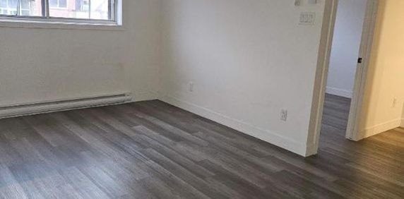 1 CH - 1 SDB - Montréal - $1,345 /mo - Photo 2