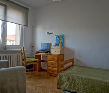 Mieszkanie Ełk Centrum powierzchnia 55.0 m² C239-WM-39418 - Photo 5