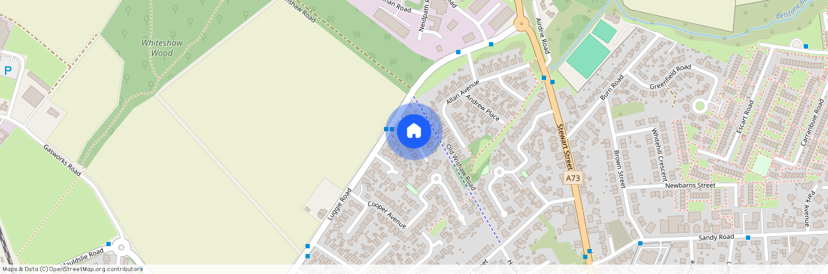 Hemmingen Court, Carluke, ML8