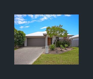 74 Willowbank Drive, Kirwan, Qld 4817 - Photo 5