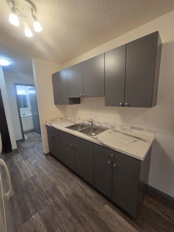 Beautifully Renovated Ground Floor One Bedroom on South Hill - Photo 4