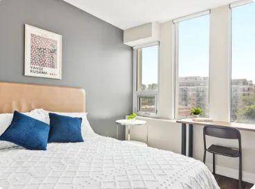 For Lease - 305 Rideau Street, Lower Town - Sandy Hill, Ontario - Photo 1