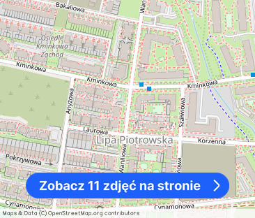 Mieszkanie 2 pokojowe na wynajem, 50 m2, Lipa Piotrowska, OD GRUDNIA! - Zdjęcie 1