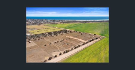 Prime Agricultural Land for Rent with Stunning Views – "Top of the Hill" Estate, Moonta Bay - Photo 4