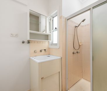 45 Railway Terrace, Lewisham NSW 2049 - House For Rent | Domain - Photo 2