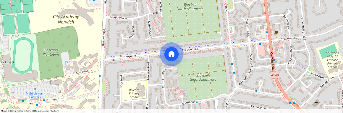 The Avenues, Norwich