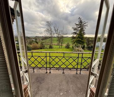 117 Hillsborough Road, Dromore, BT25 1QW - Photo 3