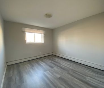 Darren Manor - Photo 6