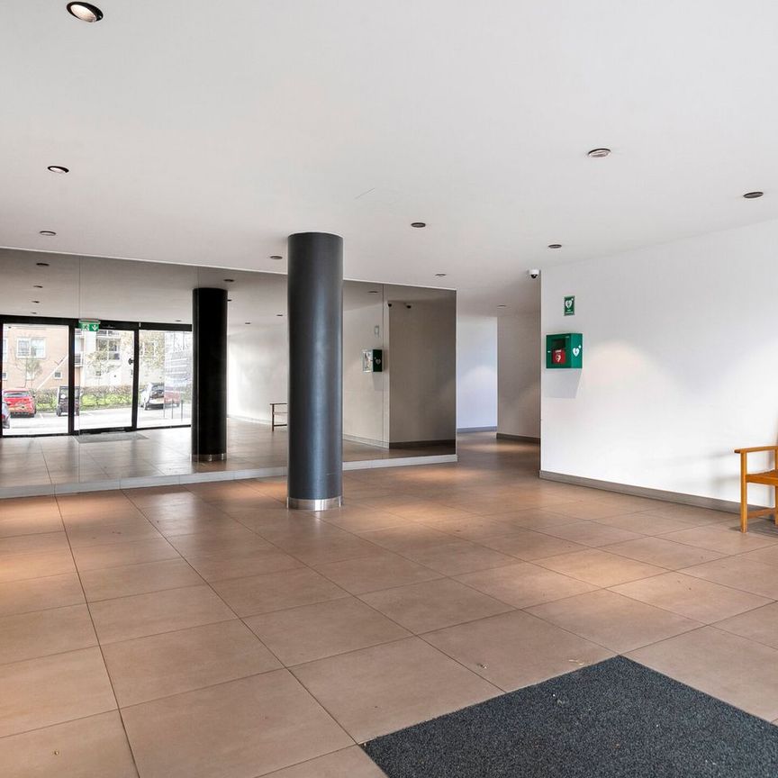 Hermelijnvlinder 95, Vlindertuin, 1113LC, Diemen - Photo 1