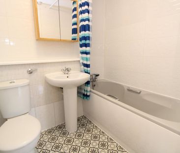 Spring Grove - Photo 6