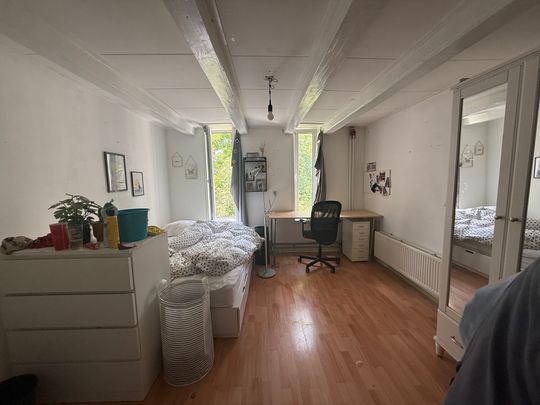 38, Boterdiep, Hortusbuurt, Centrum, Groningen, Nederland, 9712 LP, Nederland - Foto 1