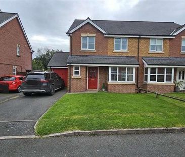 Long Meadow, Abermule, Montgomery, Powys, SY15 - Photo 3