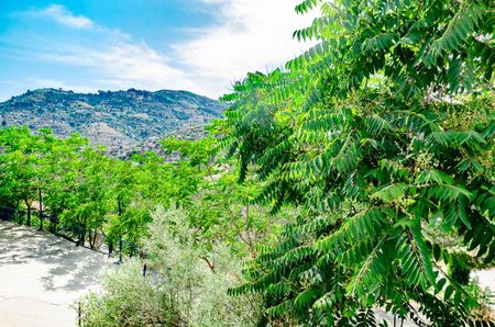 Country Property in Cómpeta, Inland Andalucia in the mountains - Photo 4