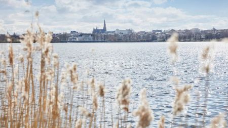 + Neubauzweitbezug am Ziegelsee + - Photo 5