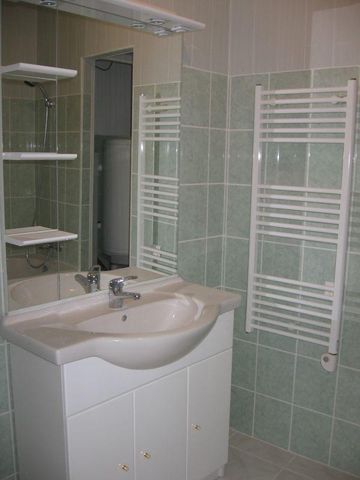 Location Appartement 2 pièces 47m² PRIVAS 07000 - Photo 5