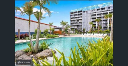 Oversized One Bedroom Apartment - Photo 4