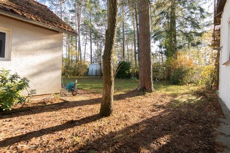 Zwischen Wäldern und Wasser l Idylli­sches Leben am Möllensee - Foto 5