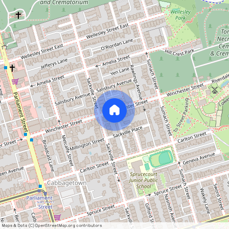 115 Winchester Street Unit# Bsmt, Toronto