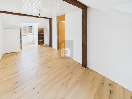 CHARMANTE SINGLEWOHNUNG IN NATURNÄHE - Foto 2