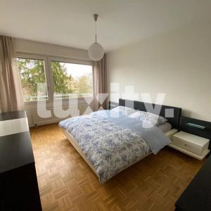 Appartement entièrement meublé - Petit-Saconnex - Photo 2