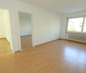 3 Zimmer, EG - Photo 2