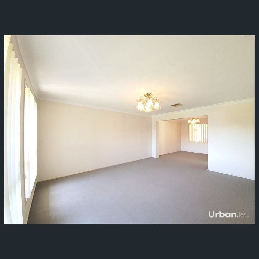 ROOM TO LIVE. ROOM TO BREATH. - Photo 1