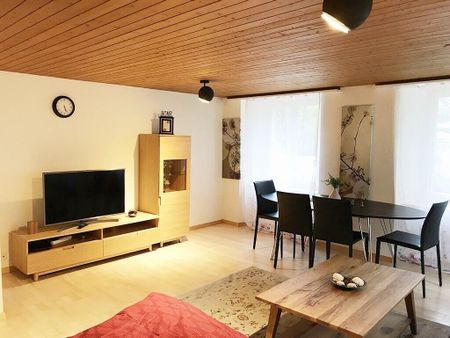 Modern furnished 2.5-room apartment in Langnau am Albis ideal for professionals - Photo 2