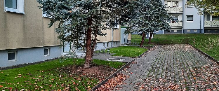 Walk into your new 4 walls - Foto 1