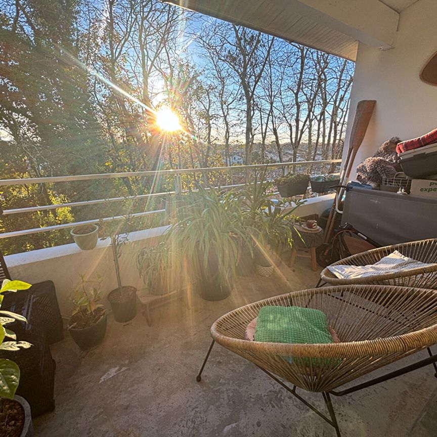 Appartement Mont de Marsan 2 pièces, - Photo 1