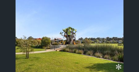 Park Views - Photo 4