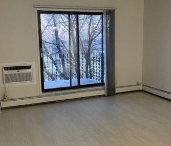 1 BDRM/1 BATH - 2318 ARLINGTON AVE - Available NOV 1 - Photo 1