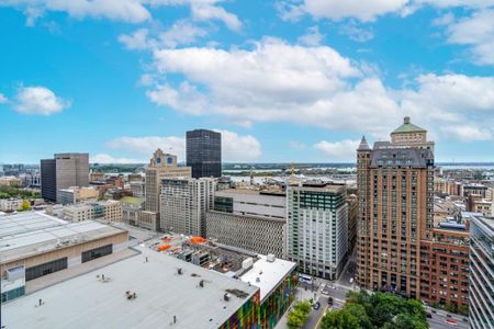 Appartement à louer - Montréal (Ville-Marie) (Centre) Appartement à louer - Montréal (Ville-Marie) (Centre) - Photo 3