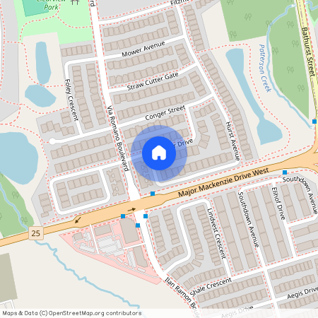 19 Scuffler Drive Unit# Basement, Vaughan