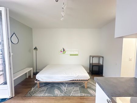 Appartement meublé - 1 pièce - Saint-Jacques/Cézeaux - Photo 2