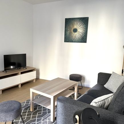 SUPERBE APPARTEMENT MEUBLE LUMINEUX QUARTIER CHATELET LES HALLES - Photo 1