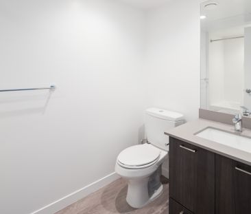 1008 Pandora Avenue, Victoria - Photo 6